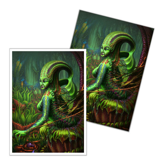 Sarracenia Card Sleeves